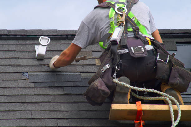 Best Roof Leak Repair  in Glyndon, MN
