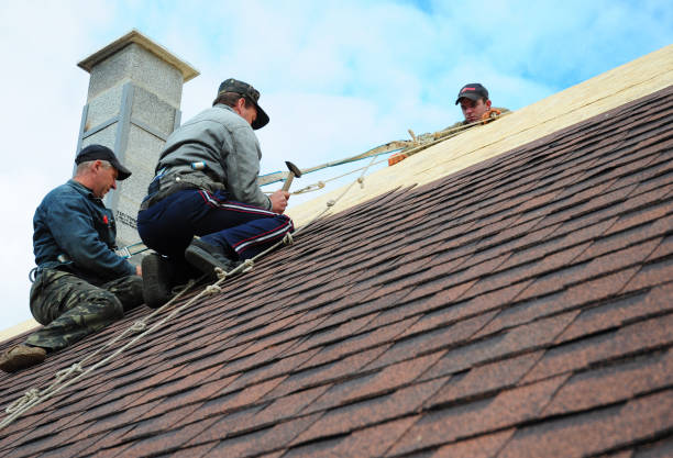 Residential Roof Replacement in Glyndon, MN