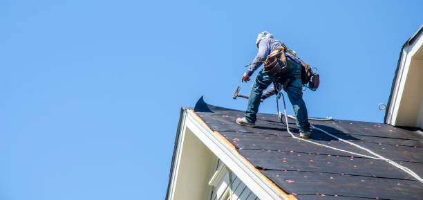 Best Roof Repair Services  in Glyndon, MN